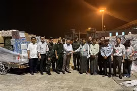 Vietnam envía equipo de socorro a Myanmar tras el terremoto
