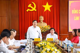 El viceprimer ministro permanente Pham Gia Tuc habla en la reunión. Foto: VNA
