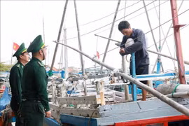 Los guardias fronterizos de la provincia de Phu Yen informan a los pescadores sobre la lucha contra la pesca ilegal en el puerto pesquero de Dong Tac (ciudad de Tuy Hoa). (Fuente: VNA)