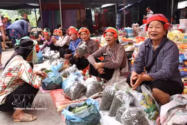 Mercado semanal único de minorías éticas en provincia de Tuyen Quang 