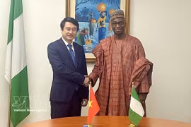 El viceministro de Relaciones Exteriores, Le Anh Tuan, sostiene conversaciones con su homólogo de Nigeria, Dunoma Umar Ahmed. Foto: VNA
