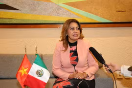 La diputada del Partido del Trabajo, presidenta de la Comisión de Bienestar de la Cámara de Diputados de México, Ana Karina Rojo Pimentel, responde a una entrevista de la VNA. (Foto: VNA)