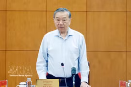 El secretario general del Partido Comunista de Vietnam, To Lam, habla en la reunión. (Foto: VNA)