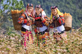 El turismo ha traído muchos cambios a la vida de las minorías étnicas en Ha Giang. (Foto: baodautu.vn)