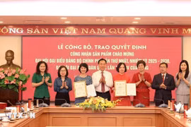 Lai Xuan Lam, subsecretario del Comité del Partido del Gobierno, entrega la decisión de reconocer los trabajos de la Agencia Vietnamita de Noticias para dar la bienvenida a la primera Asamblea del Partido del Gobierno y al XIV Congreso Nacional del Partido (Foto: VNA)