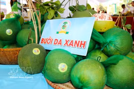 El pomelo es uno de los cinco principales cultivos frutales de la provincia de Dong Nai. Foto: VNA
