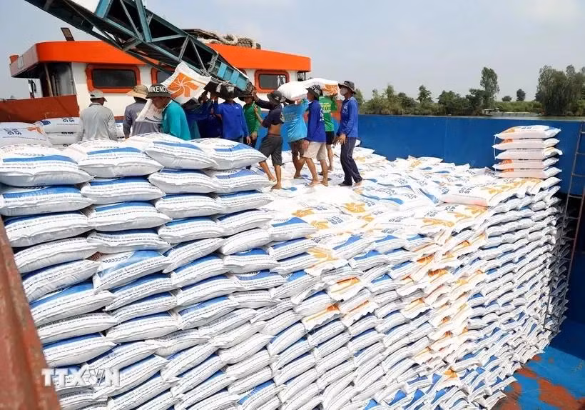 El arroz es el producto que ocupa mayor proporción en la estructura de las exportaciones de Vietnam a Cuba. (Fuente: VNA)