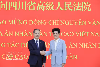 El presidente del Tribunal Popular Supremo de Vietnam, Nguyen Van Quang, (izquierda) y la presidenta del Tribunal Popular Superior de la provincia china de Sichuan, Chen Zhijun. (Foto: VNA)