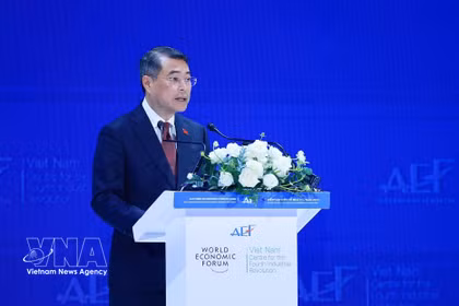 El primer ministro Le Minh Hung habla en el foro. Foto: VNA