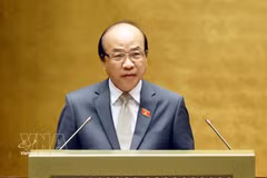 El jefe de la Comisión de Asuntos Legales y Jurídicos de la Asamblea Nacional, Phan Chi Hieu, habla en la reunión. (Foto: VNA)