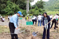 Dirigentes de la Unión de Organizaciones de Amistad de Ciudad Ho Chi Minh plantan árboles en el "Jardín de la Amistad", en la Zona Especial de Con Dao. Foto: VNA