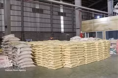 Filipinas sigue siendo el mayor comprador de arroz vietnamita, con una cuota de mercado del 40,9 %. (Foto: VNA)