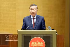 El secretario general del Partido Comunista y presidente de Vietnam, To Lam, habla en la conferencia. (Foto: VNA)