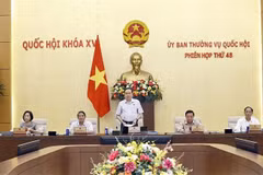 El presidente de la Asamblea Nacional de Vietnam, Tran Thanh Man, habla en la inauguración de la 48.ª reunión del Comité Permanente del Parlamento. (Fuente: VNA)