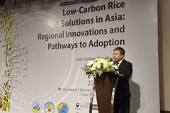El profesor y doctor Nguyen Hong Son, director de la Academia de Ciencias Agrícolas de Vietnam. (Foto: baochinhphu.vn)