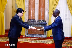 El presidente de Vietnam, Luong Cuong, recibe cartas credenciales del embajador de Burundi, Telesphone Irambonao. (Fuente: VNA)