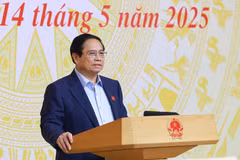 El primer ministro de Vietnam, Pham Minh Chính, habla en la reunión. (Fuente: VNA)