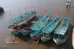 Ca Mau es una localidad con una gran cantidad de barcos pesqueros en el país. Foto: VNA