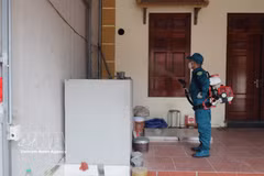 Pulverización de insecticida para prevenir el dengue en la comuna de Dan Hoa (Hanoi). Foto: VNA