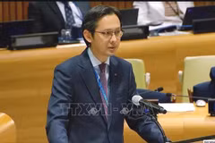 El representante permanente de Vietnam ante la Organización de las Naciones Unidas (ONU), embajador Do Hung Viet, habla en el evento. (Fuente: VNA)