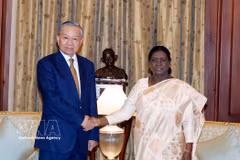 El secretario general del Partido Comunista y presidente de Vietnam, To Lam, sostiene un encuentro con la presidenta india, Droupadi Murmu. (Foto: VNA)
