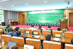 El panorama del taller. (Foto: Vietnam+) 