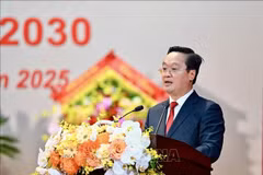 Nguyen Duc Trung reelegido secretario del Comité provincial del Partido de Nghe An. (Fuente: VNA)
