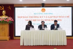 El viceministro de Industria y Comercio de Vietnam, Nguyen Sinh Nhat Tan, habla durante una rueda de prensa. (Foto: VNA)