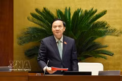 El vicepresidente de la Asamblea Nacional de Vietnam Nguyen Khac Dinh habla en la reunión. Foto: VNA