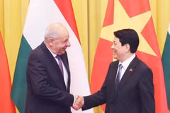 El presidente de Vietnam, Luong Cuong, y su homólogo húngaro, Tamás Sulyok. (Foto: VNA)