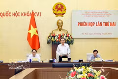 El presidente de la Asamblea Nacional de Vietnam, Tran Thanh Man, habla en la reunión. Foto: VNA