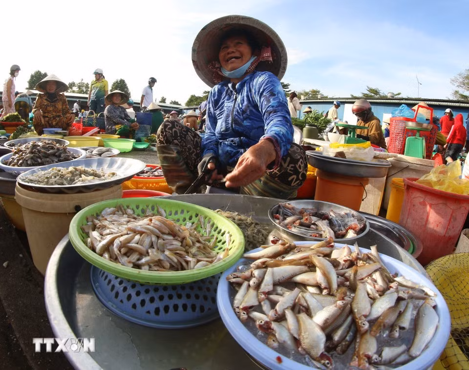 El mercado “chom hom” del barrio de Vi Thanh, en la ciudad de Can Tho, es tan afable como la vida cotidiana de sus propios habitantes, pues preserva un fragmento del alma rural en el corazón de una ciudad que se transforma día a día. (Fuente: VNA)