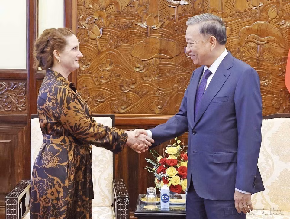 El presidente To Lam recibió a la embajadora de Nueva Zelanda en Vietnam, Caroline Beresford, el 4 de julio de 2024. (Foto: VNA)