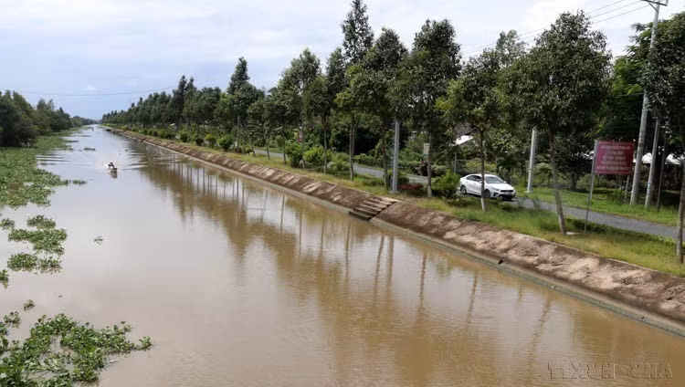 Terraplén para prevenir deslizamientos de tierra en la orilla del río Lo Moi en el distrito de Giong Rieng (Kien Giang). (Foto: VNA)
