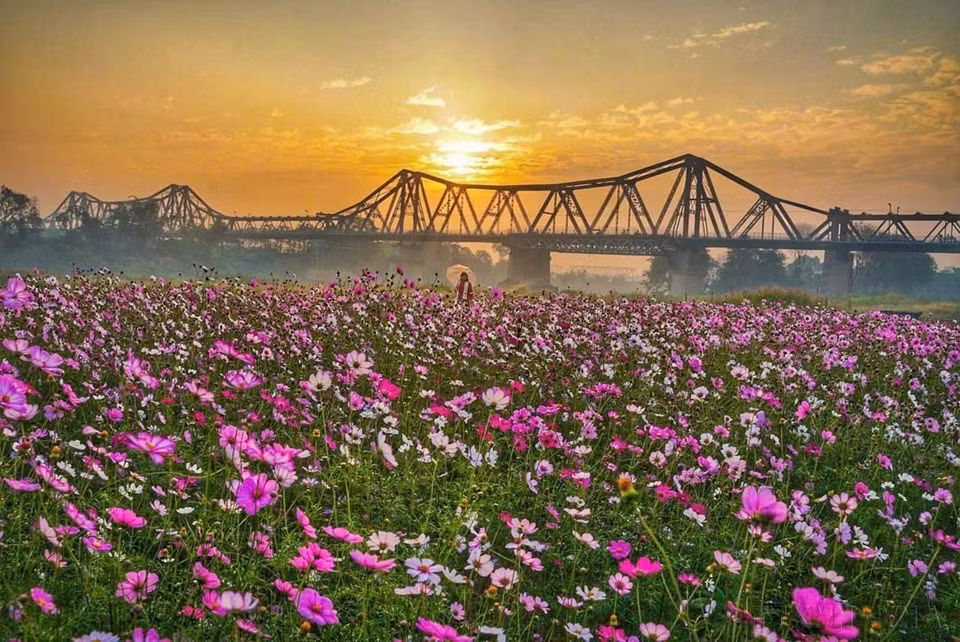 La belleza del Puente Long Bien, un símbolo cultural e histórico de Hanoi. (Foto: VNA)