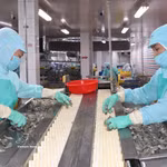 Actualidad: Vietnam registra un sólido crecimiento económico en primer semestre