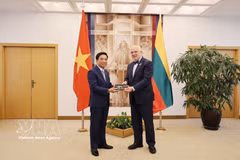 El vicepresidente de la Asamblea Nacional de Vietnam, Nguyen Doan Anh, se reúne con el presidente del Seimas (Parlamento) de Lituania, Juozas Olekas. (Fuente: VNA)