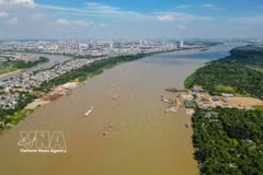 Hanoi está concentrando recursos y acelerando el avance de siete proyectos de puentes sobre el río Rojo. (Foto: VNA)