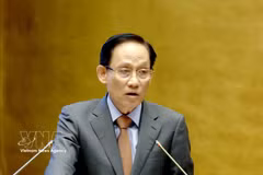 El miembro del Buró Político y ministro de Relaciones Exteriores, Le Hoai Trung, presenta el informe. (Foto: VNA)