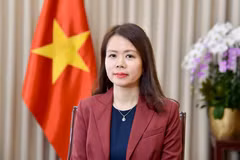 La viceministra de Relaciones Exteriores Nguyen Minh Hang (Foto: Cancillería de Vietnam)