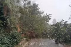 Consecuencias de un deslizamiento de tierra en la provincia norteña de Lao Cai (Foto: VNA)