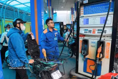 Una gasolinera de Petrolimex (Foto ilustrativa: VNA)
