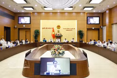Panorama de la sesión (Foto: VNA)