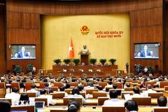 Panorama de la sesión (Foto: VNA)