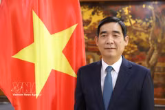El embajador de Vietnam en Tailandia, Pham Viet Hung. (Foto: VNA)