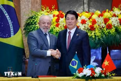 Vietnam y Brasil miran a futura cooperación 
