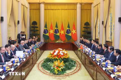 Panorama de la cita (Foto: VNA)