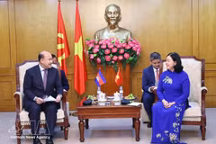 La miembro del Buró Político, secretaria del Comité Central del Partido Comunista y presidenta del Comité Central del FPV, Bui Thi Minh Hoai, recibe el viceprimer ministro y ministro de Función Pública de Camboya, Hun Many. (Foto: VNA)