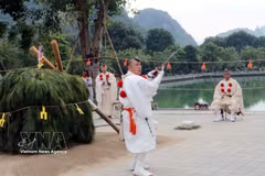 Del 15 al 16 de noviembre de 2025, se celebró un festival de intercambio cultural budista entre Vietnam y Japón en el Complejo Turístico Nacional de Tam Chuc, en la provincia de Ninh Binh, con la participación de miles de monjes, seguidores budistas y visitantes. (Foto: VNA)