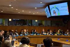 La viceministra de Relaciones Exteriores, Le Thi Thu Hang, interviene en la apertura. (Foto: VNA)